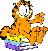 Garfield sits on some books