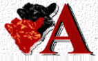 Logo Asociacion Chilena de Aberdeen Angus aA.G.