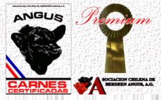 Logo Carnes Certificadas Angus