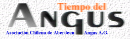 Logo de la revista Tiempo del Angus