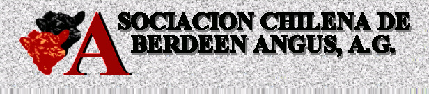 Logo de la Asociacisn Chilena de Aberdeen Angus