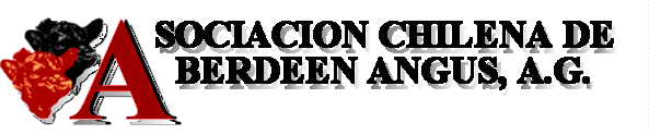 Logo de la Asociacin Chilena de Aberdeen Angus