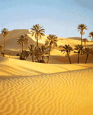 Tipian krajolik vrue pustinje