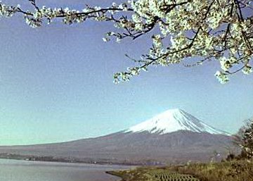 Vrh Fuji i trenjin cvijet simboli su Japana.