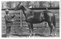 Man o' War with Will Harbut