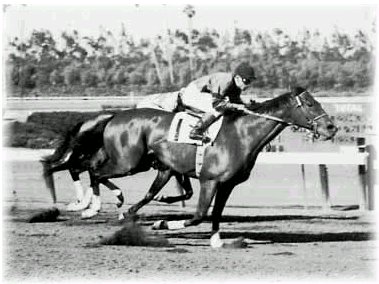 Two Lea wins
          the 1952 Hollywood Gold Cup