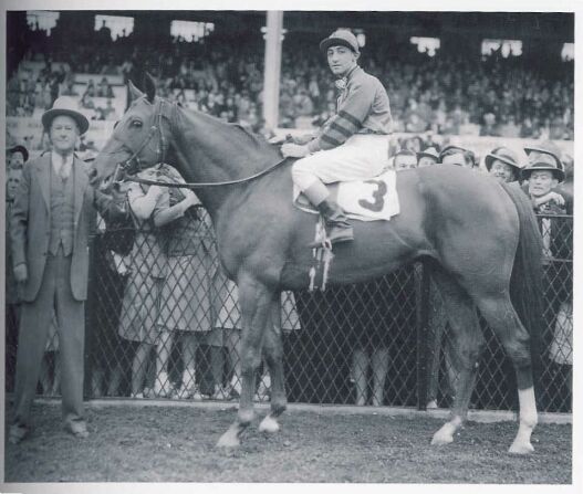 Whirlaway after winning the Dixie Handicap