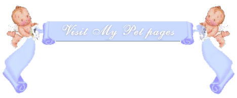 Click here to visit my family pet pages