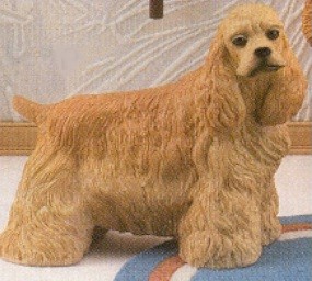Cocker Spaniel