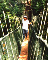 Easy does it on the Canopy Walkway...