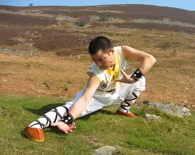 Master Xing Du During A Visit To North Wales.