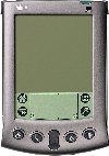 Palm.jpg (5183 bytes)