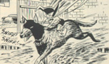[A picture of the bizarre Ace the Bat-Hound.]