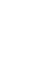 Mutilated Chess Board and Domino