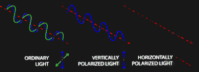 Polarised Light
