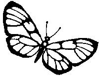 butterfly.gif (1490 bytes)