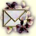 violets-mail.jpg (2592 bytes)