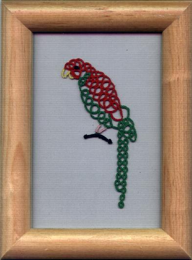 tatted parrot by Lyn Hodges
