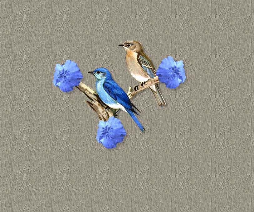 two_birds.jpg (119698 bytes)