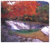 ���ǻ��� ����