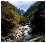 õ�ҵ��� ��ǳ