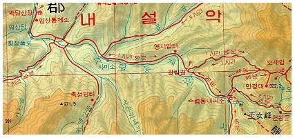 ���ŵ������ ����