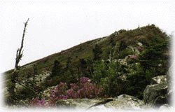 �Ͷ���û��