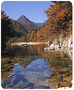 ���ŵ����