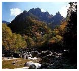 õ�ҵ��� ��ǳ