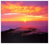 ȭä���� ����