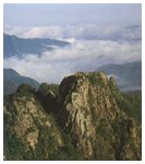 ��Ƹ�����