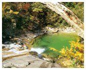 �ι�����