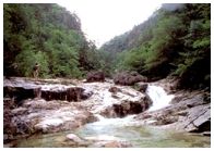 ���ߵ����