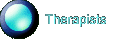 Therapists