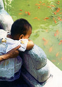 Chinese baby studies goldfish.