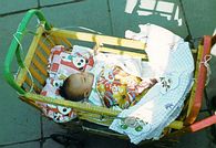 Baby asleep in bamboo pram.