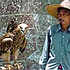 Tethered eagle at Yangshuo