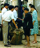 Bargaining for Vietnamese berries