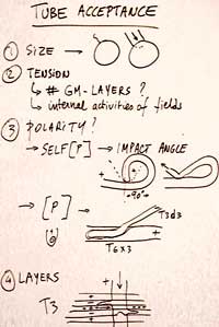 tube acceptance,strings versus tubes,polarity, tension, tensor