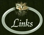 Links