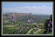 Countryside near Phaistos * 704 x 441 * (98KB)