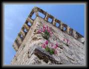 Tower at Trogir * 704 x 528 * (92KB)