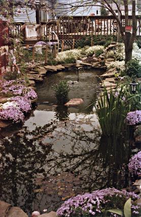 a lush view of the garden ,click for a hi res image of the pond