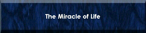  The Miracle of Life 