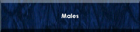  Males 