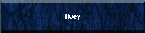  Bluey 