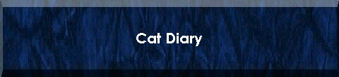  Cat Diary 