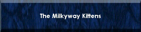  The Milkyway Kittens 