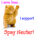 spay/neuter