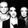 Placebo15